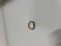 CS976/2024 RING